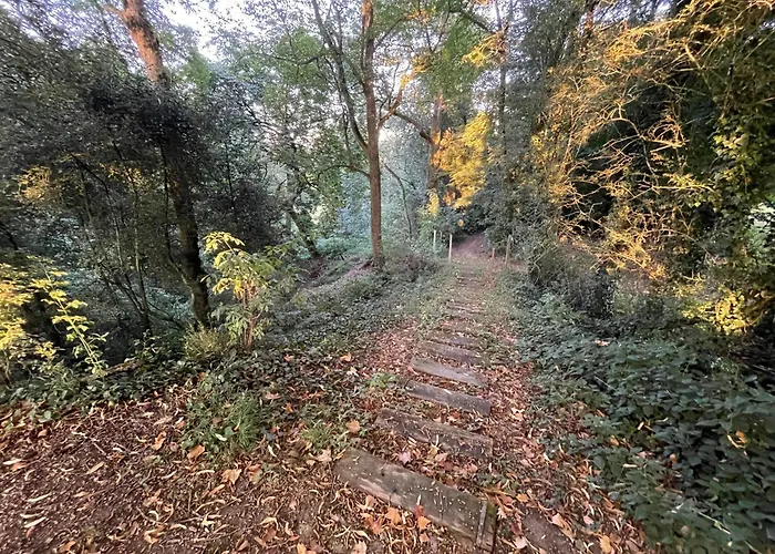 Hébergement de vacances Le Prieuré Saint Pierre, Et D'hôtes Dans Un Parc Classé Réaumur