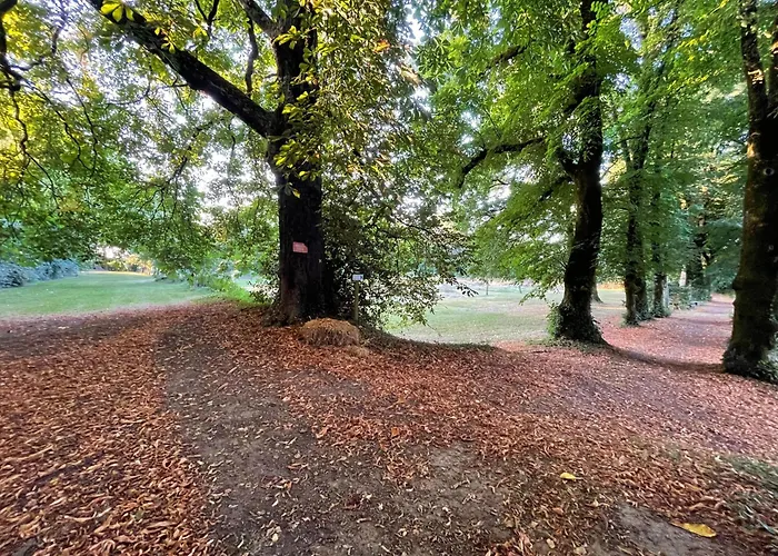 Hébergement de vacances Le Prieuré Saint Pierre, Et D'hôtes Dans Un Parc Classé Réaumur